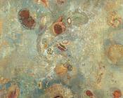 奥蒂诺雷东 - Underwater Vision